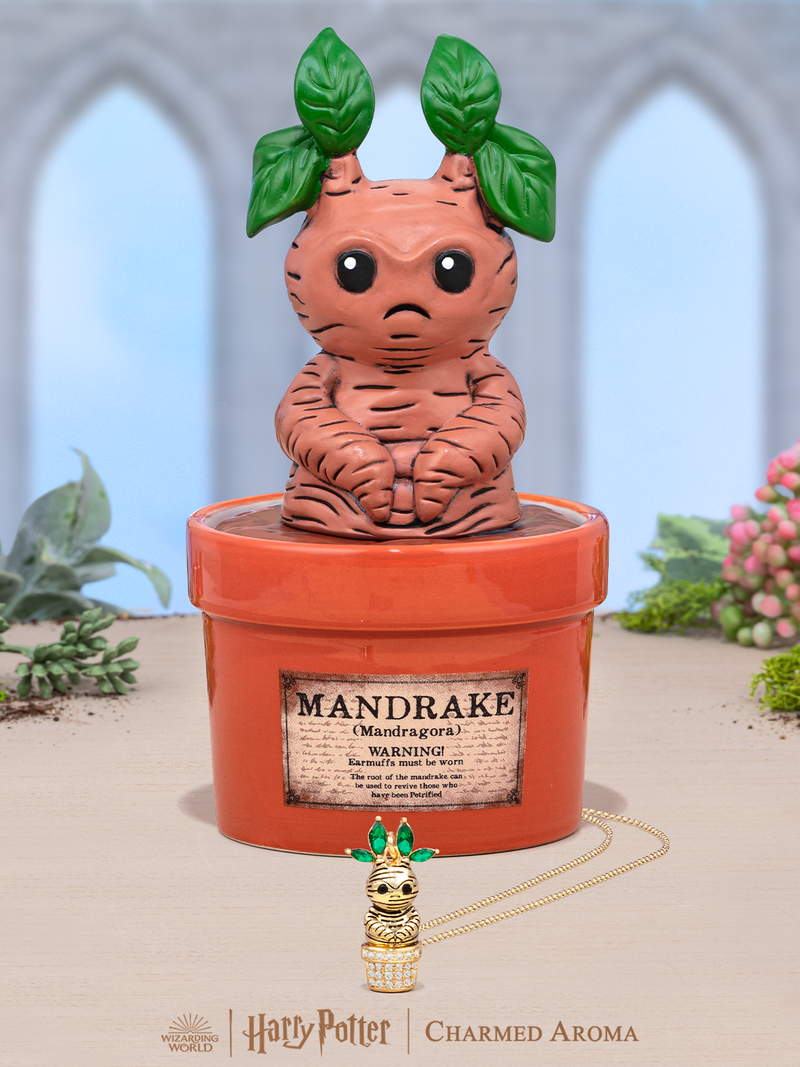 Harry Potter™ Mandrake™ Candle + Jewelry Tray - Mandrake™ Necklace
